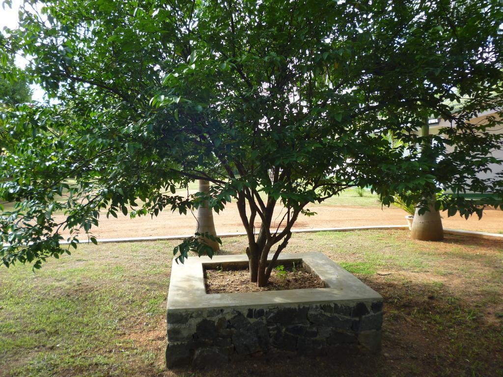 Saji-Sami Hotel Anuradhapura Exterior photo