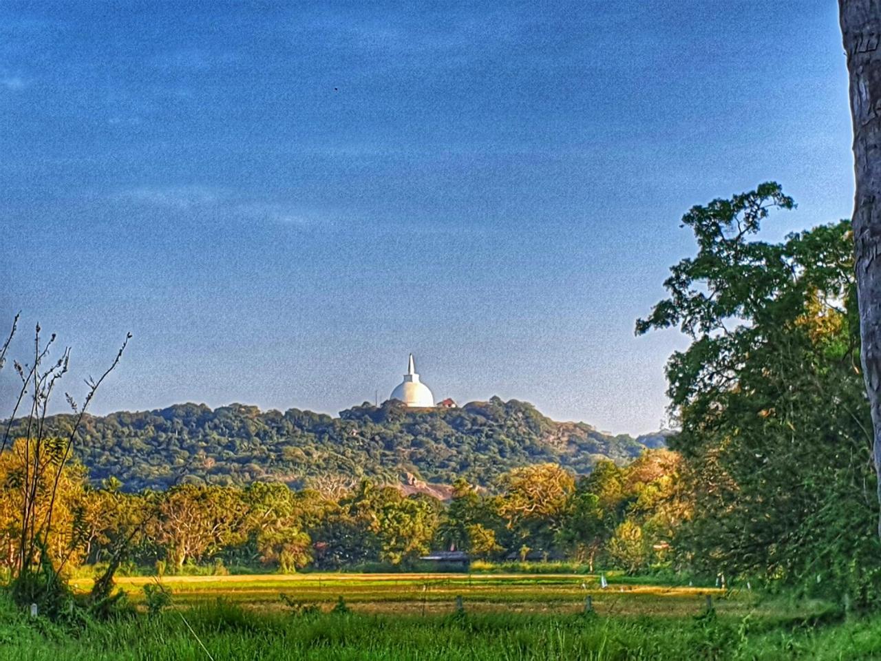 Saji-Sami Hotel Anuradhapura Exterior photo